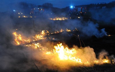 Trockene Vegetation: Vorsicht bei Osterfeuern!