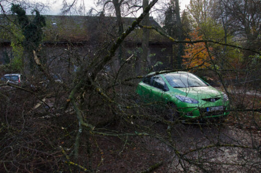 Baum auf PKW an der Fischkuhle