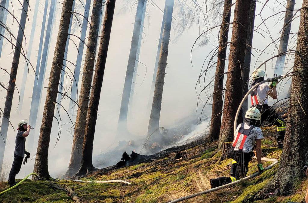 Feuerwehr Menden unterstützt bei Waldbränden in Plettenberg
