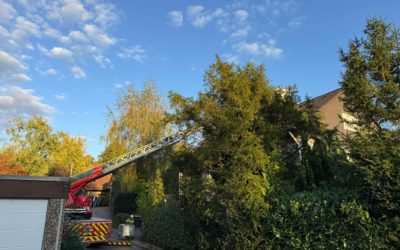 Küchenbrand in einem Wohnhaus